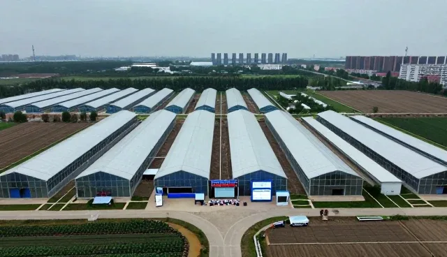 康复指导服务在医疗技术服务中的发展趋势分析